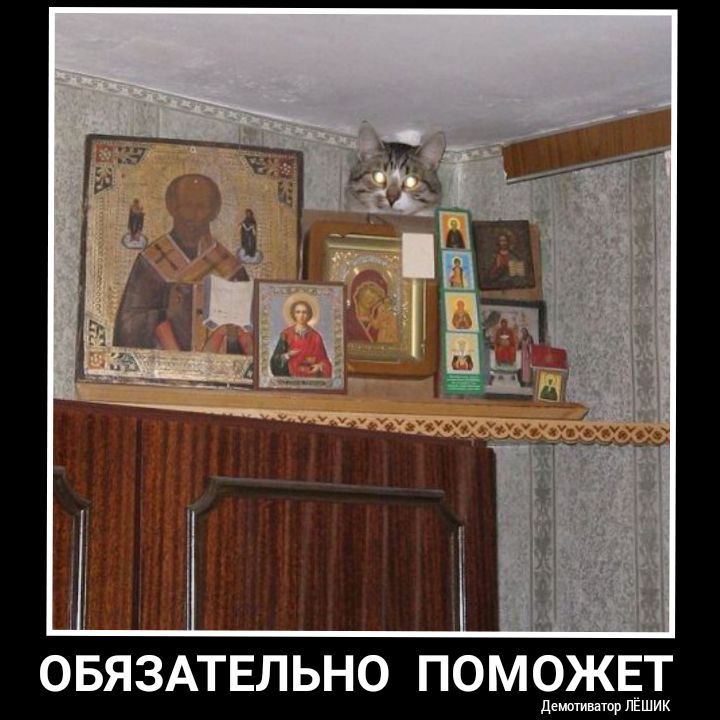 к ш д Т Е ж 0 М 0 П 0 Н Ь л и А 15 Б 0