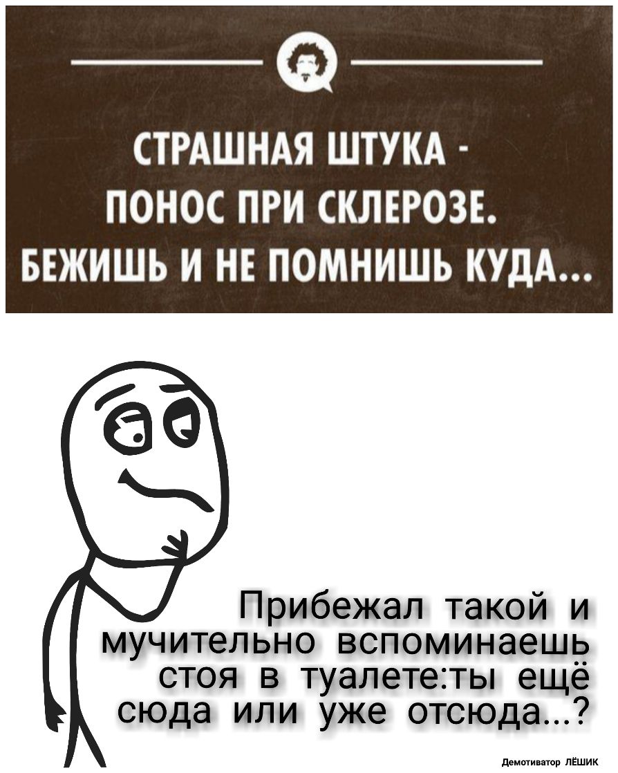 _Ф СТРАШНАЯ ШТУКА ПОНОС ПРИ СКЛЕРОЗЕ БЕЖИШЬ И НЕ ПОМНИШЬ КУДА Прибежал такой и мучительно вспоминаешь стоя в туалететы ещё сюда или уже отсюда памяти тр пЕшик