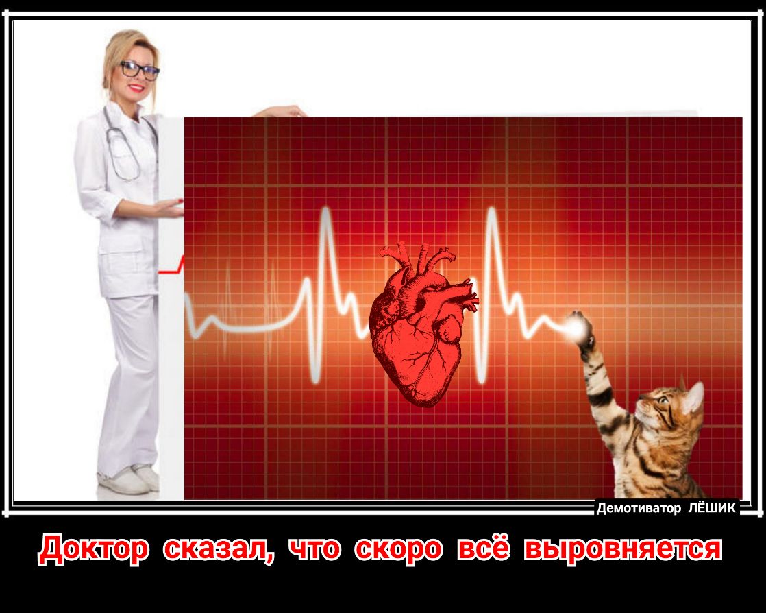 53 ч демотиватор ПЁШИК Штщи