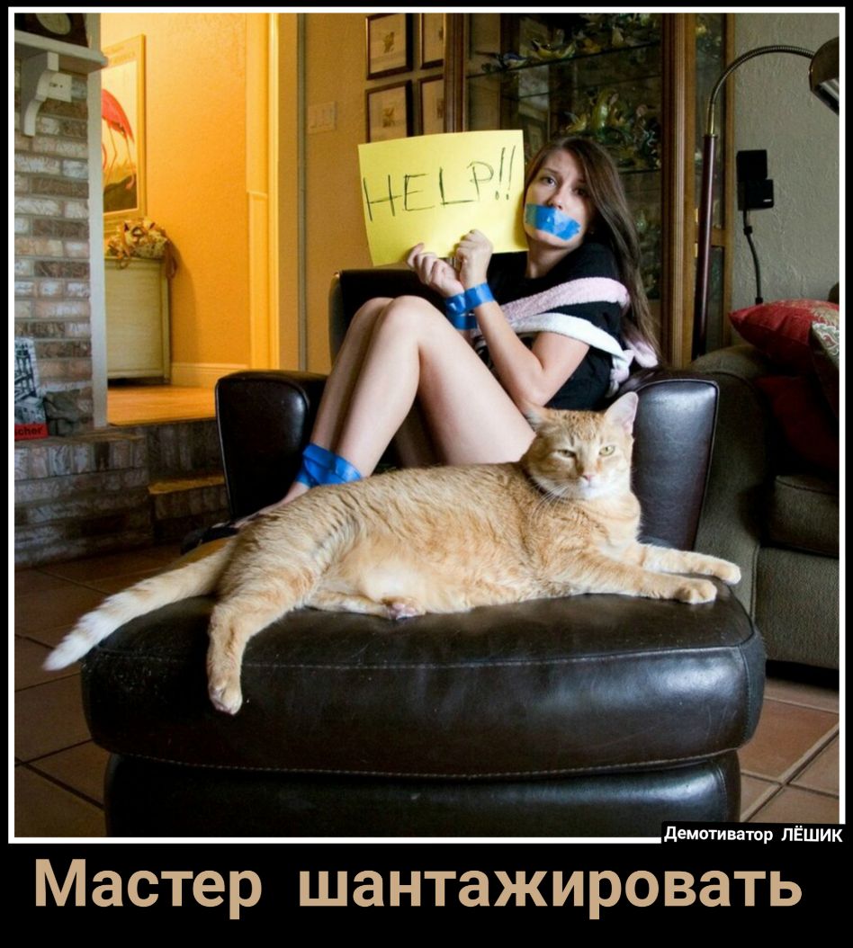 демотиветор ЛЁШИК Мастер шантажировать