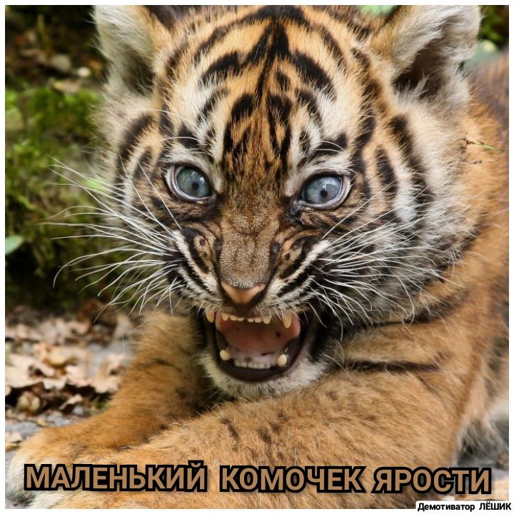 к ш т