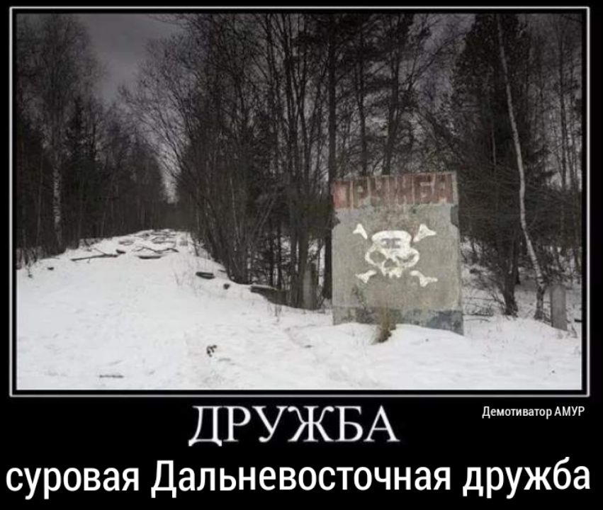 ДРУЖБА детиваюммур суровая Дальневосточная дружба
