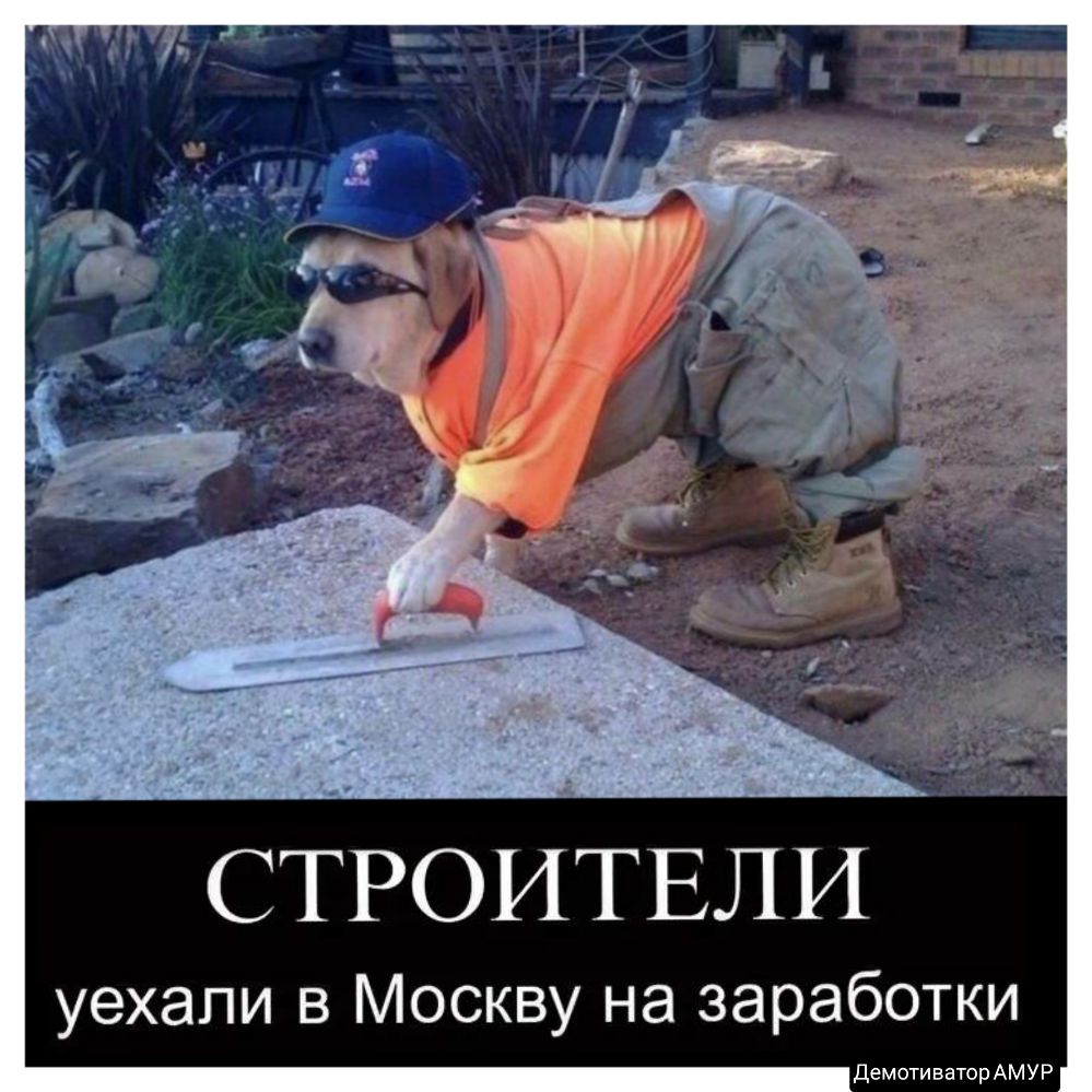 СТРОИТЕЛИ уехали в Москву на заработки Демотиватор АМУР