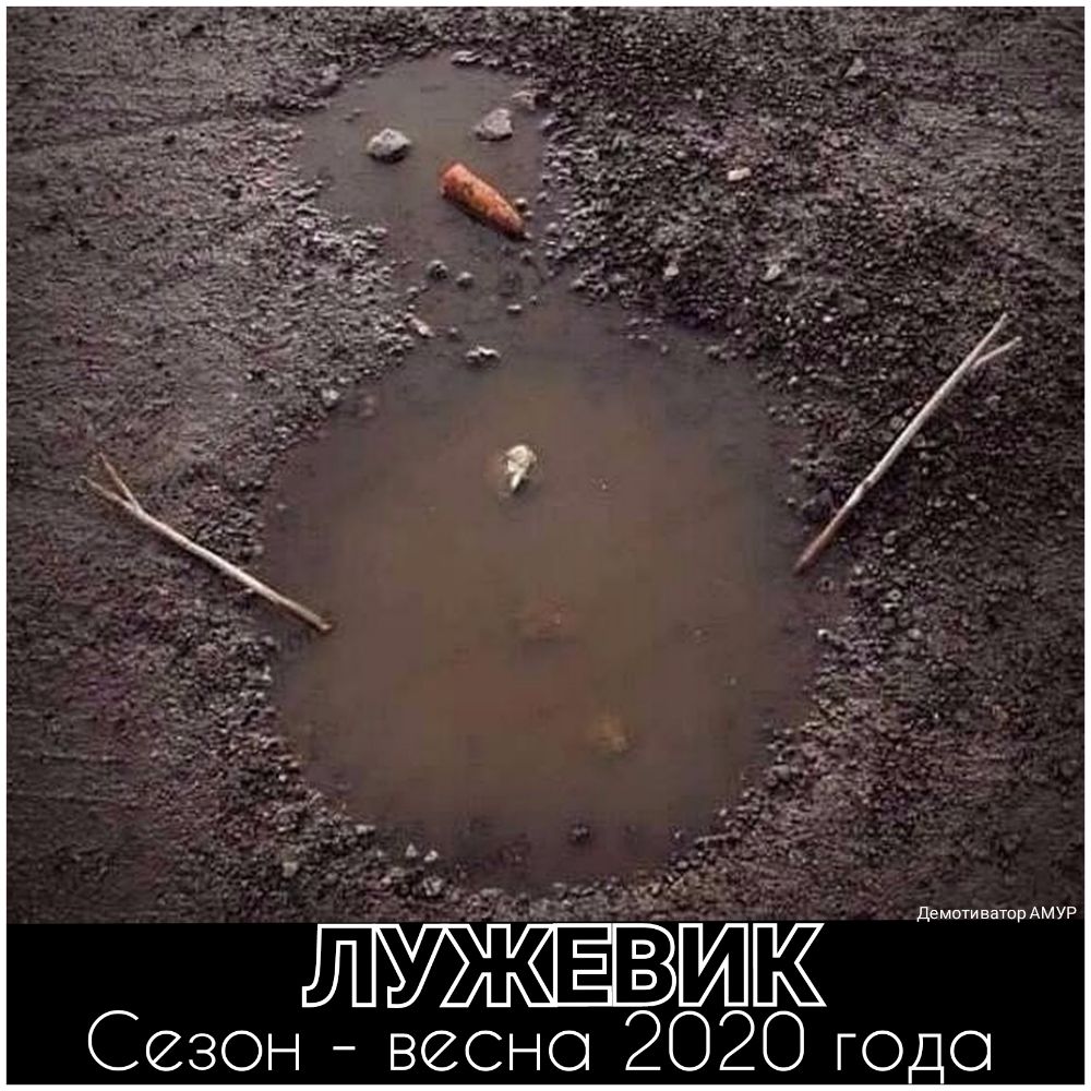 Демотиватшр АМУР ЛУ ЖЁВ ЙЙ Сезон весна 2020 Юдо