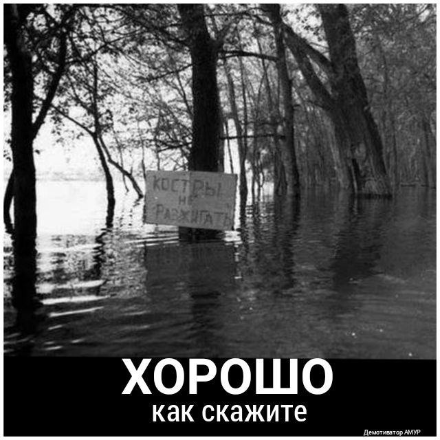 дшие о Ри оа х