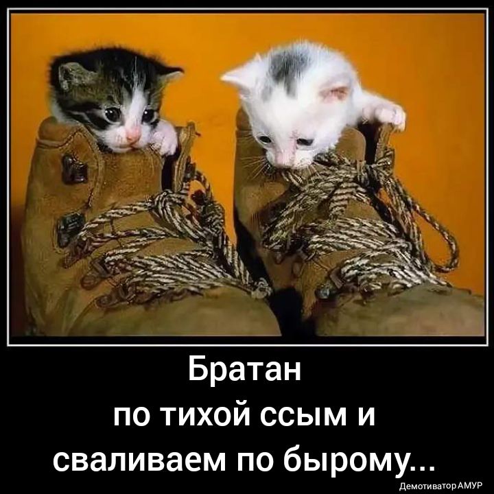 Братан по тихой ссым и сваливаем по бырому отиветарАМУР