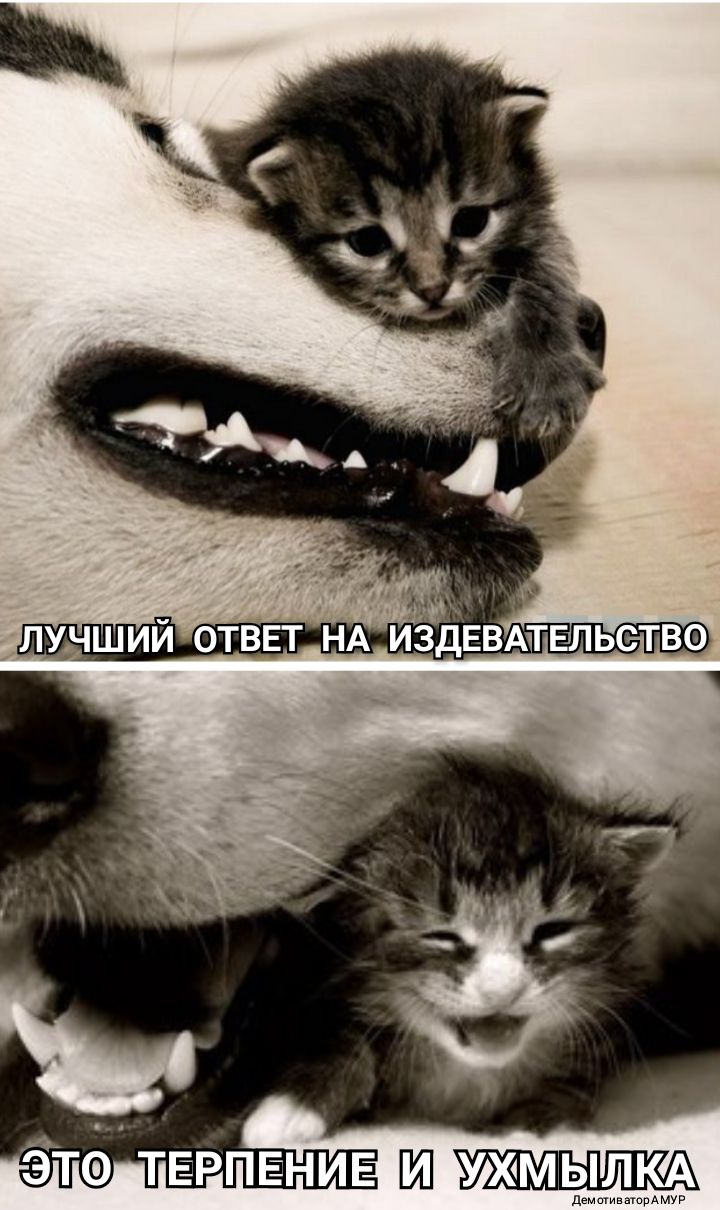 ётэ тврпвнив И ухмь