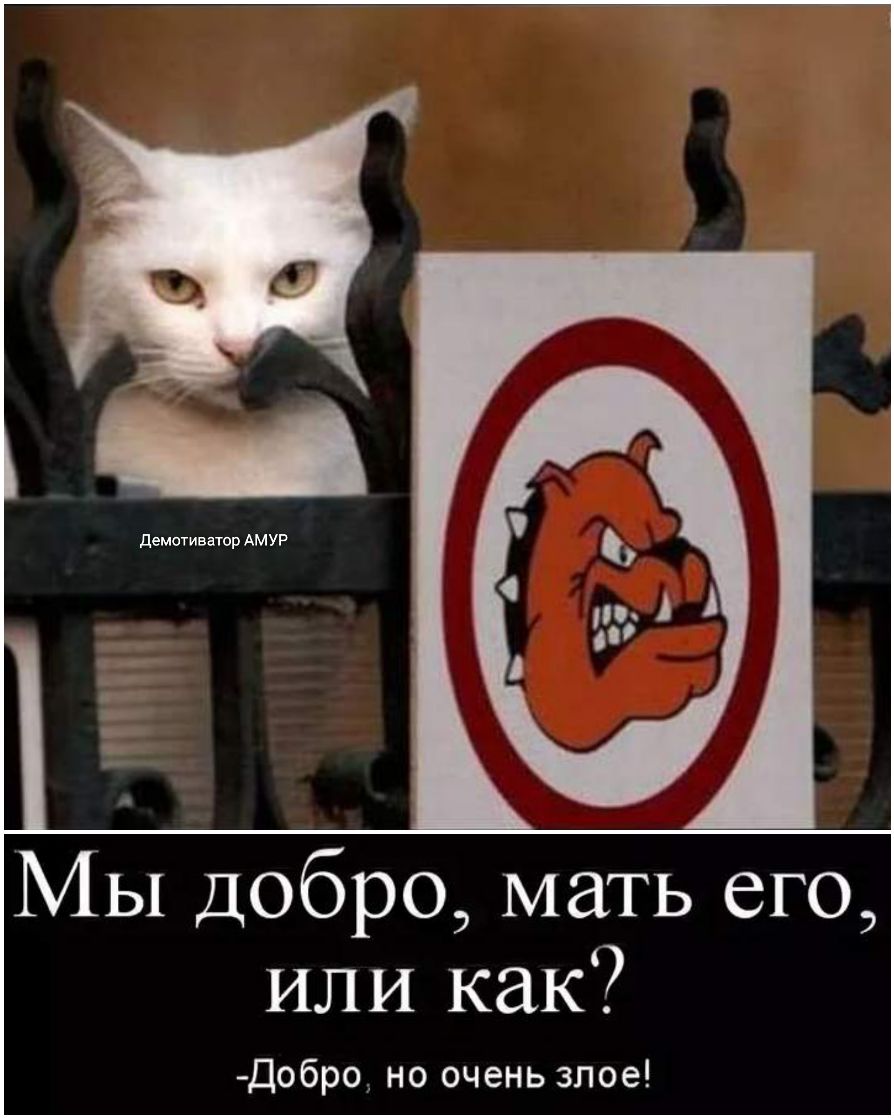 Мы Добро мать его или как Добро но очень злое