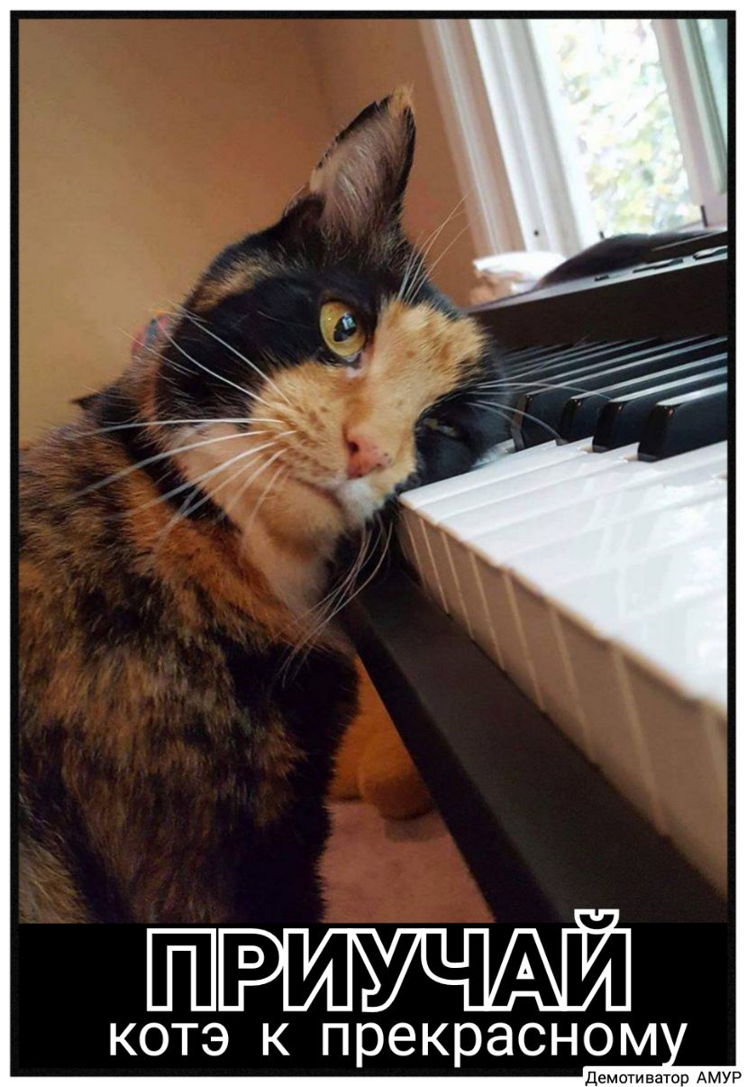 ЙРИУЧАЙ КОТЭ К прекрасном