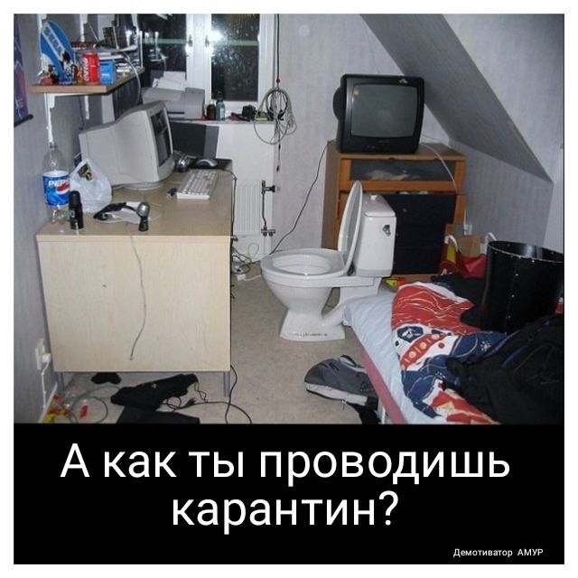 А как ты проводишь карантин