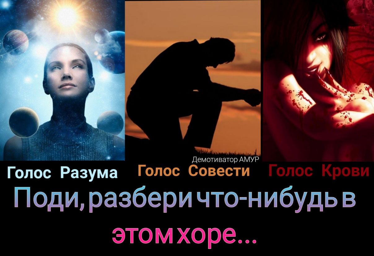 Демоти затор АМУР Голос Разума Поди разбери что нибудь в этом хоре
