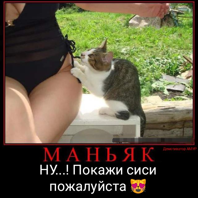 НУ Покажи сиси пожалуйста и