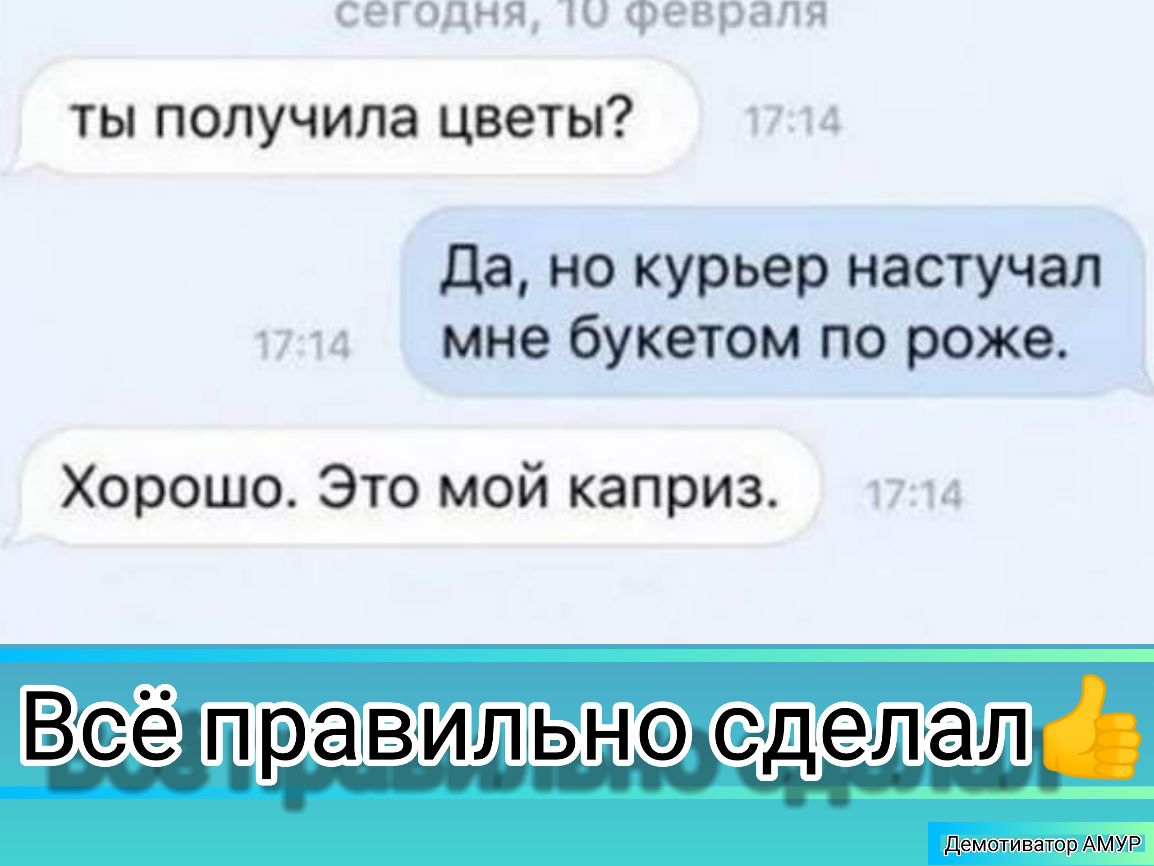 ты получила цветы Да но курьер настучал мне букетом по роже Хорошо Это мой каприз Вредрамам л ьн счдеіл алі Демшивапор АММР