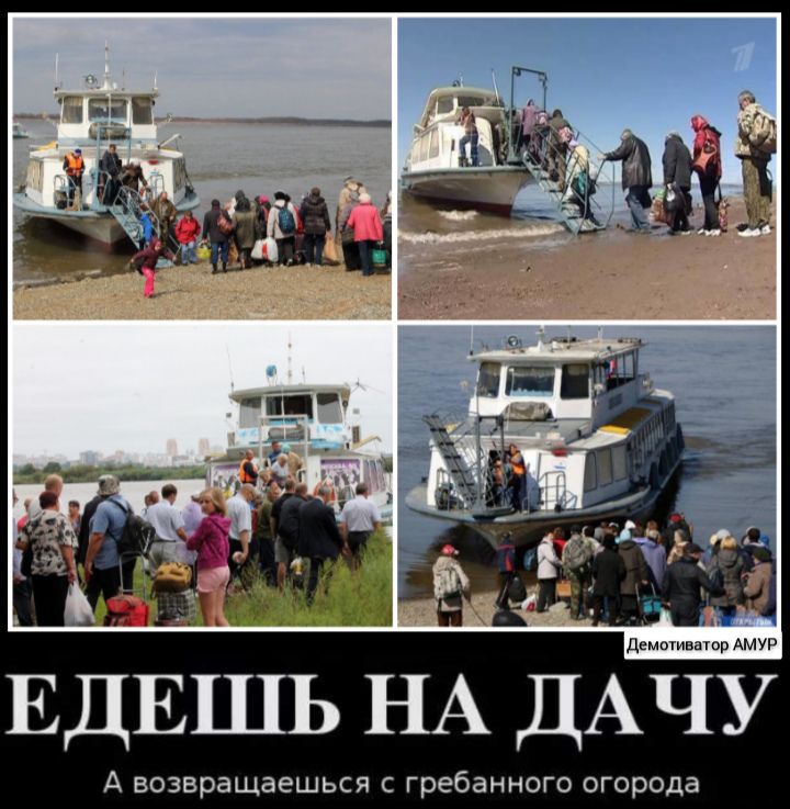 ЕДЁШЬ НА ДАЧУ А возвращаешься С гребанного ОГОРОДЗ