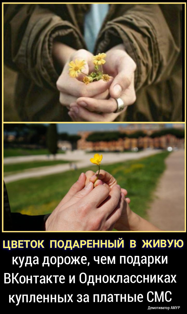 цветак паддренный живую куда дороже чем подарки ВКонтакте и Одноклассниках купленных за платные СМС демотишор АМУР