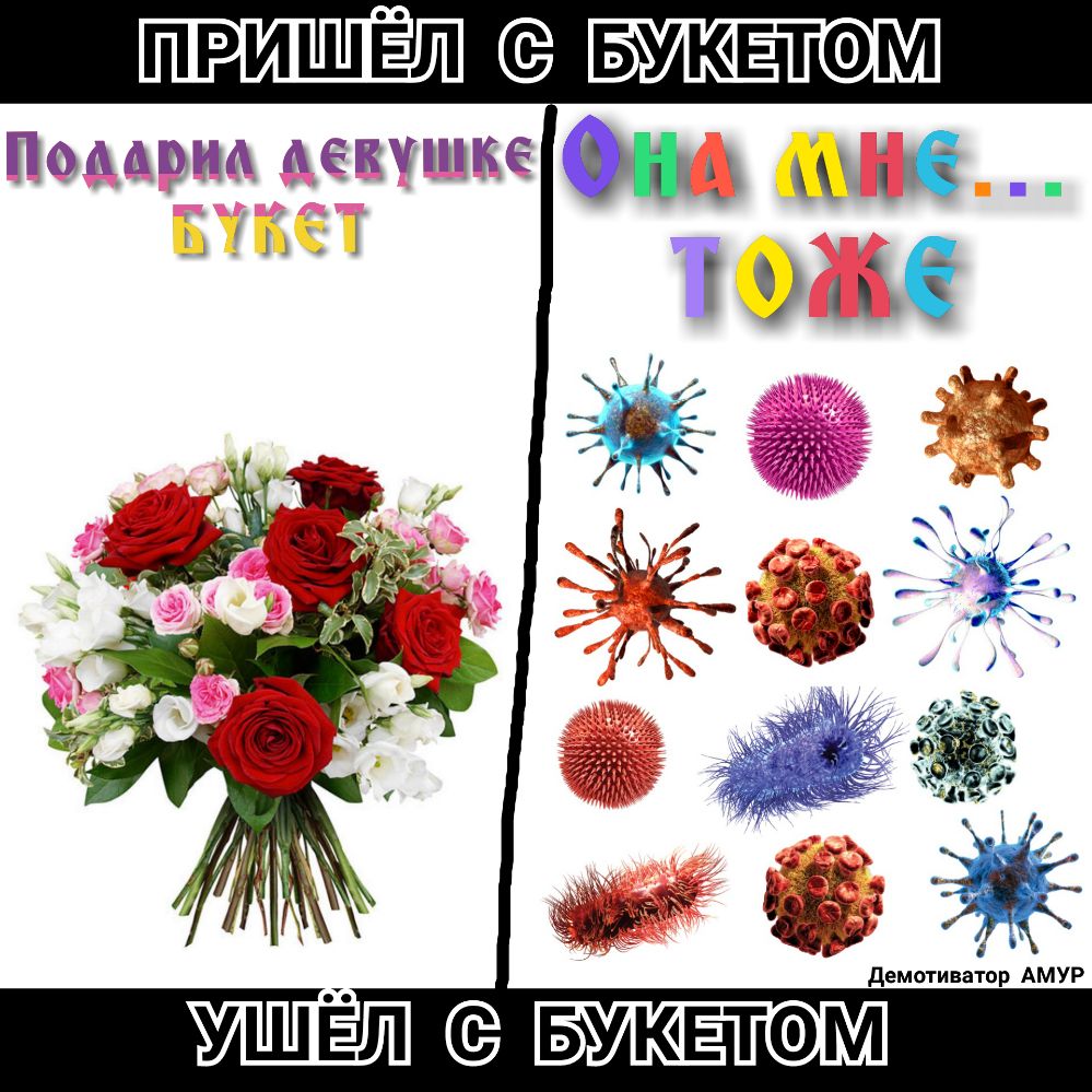 ПРИШЁЛ БУКЕТФМ Пышма Екшшке О демотиватпр АМУР УШЁЛ БУКЕТФМ