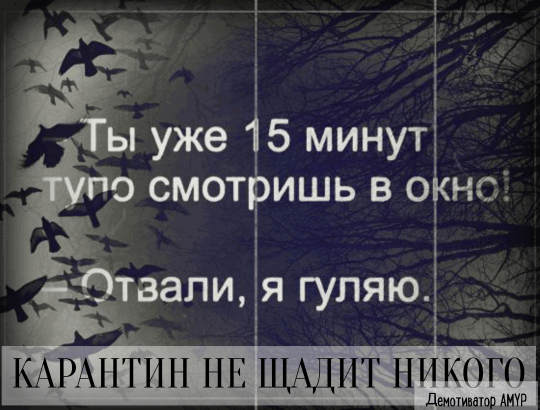 ы уже 15 минут Ёе смотришь в орю _ТВЭПИ Я ГУПЯЮ КАРАНТПН НЕ ЩАДИТ НИКОГО дышим АМУР