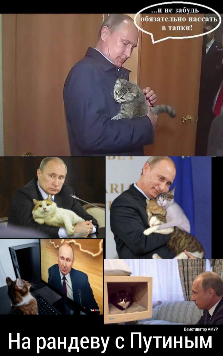 и не нибудь бязятелъпо писать в тапки демщишор АМУР На рандеву с Путиным