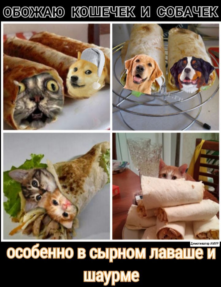 ШС