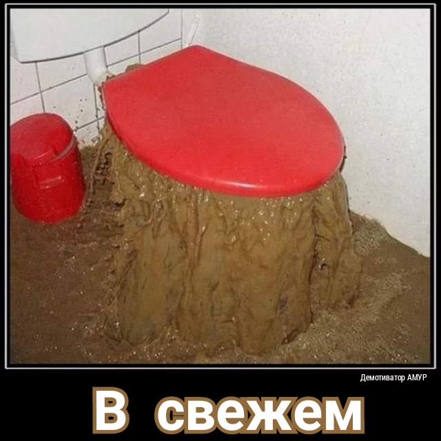 В свежем
