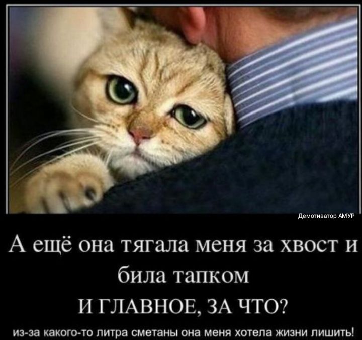 демпинга АМУР А ещё она тягала меня за хвост и била тапком И ГЛАВНОЕ ЗА ЧТО из за КЗКОГОТО литра СМЗТЗНЫ она меня ХОТВПЗ ЖИЗНИ ПИШИТЬ