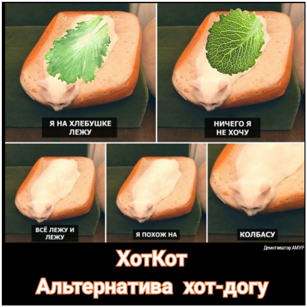 НИЧЕГО Я НЕ ХОЧУ Я ПОХОЖ ХотКот Альтернатива хот дегу