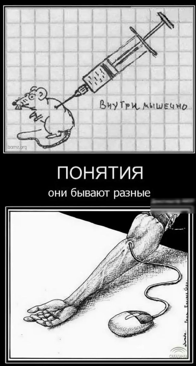 ПОНЯТИЯ ОНИ бЫВдЮТ разные