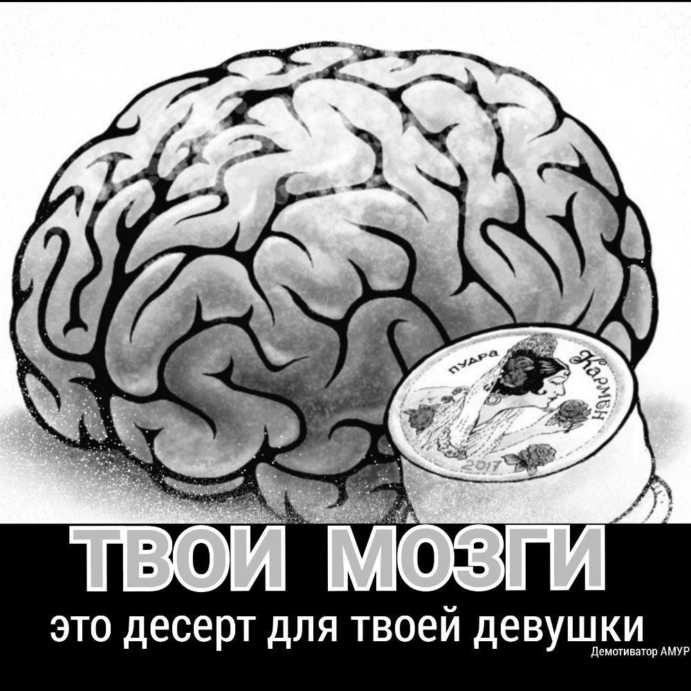 Что чистит мозг. Пудрить мозги. Мозг рисунок. Мозг карикатура. Пудрить мозги фразеологизм.