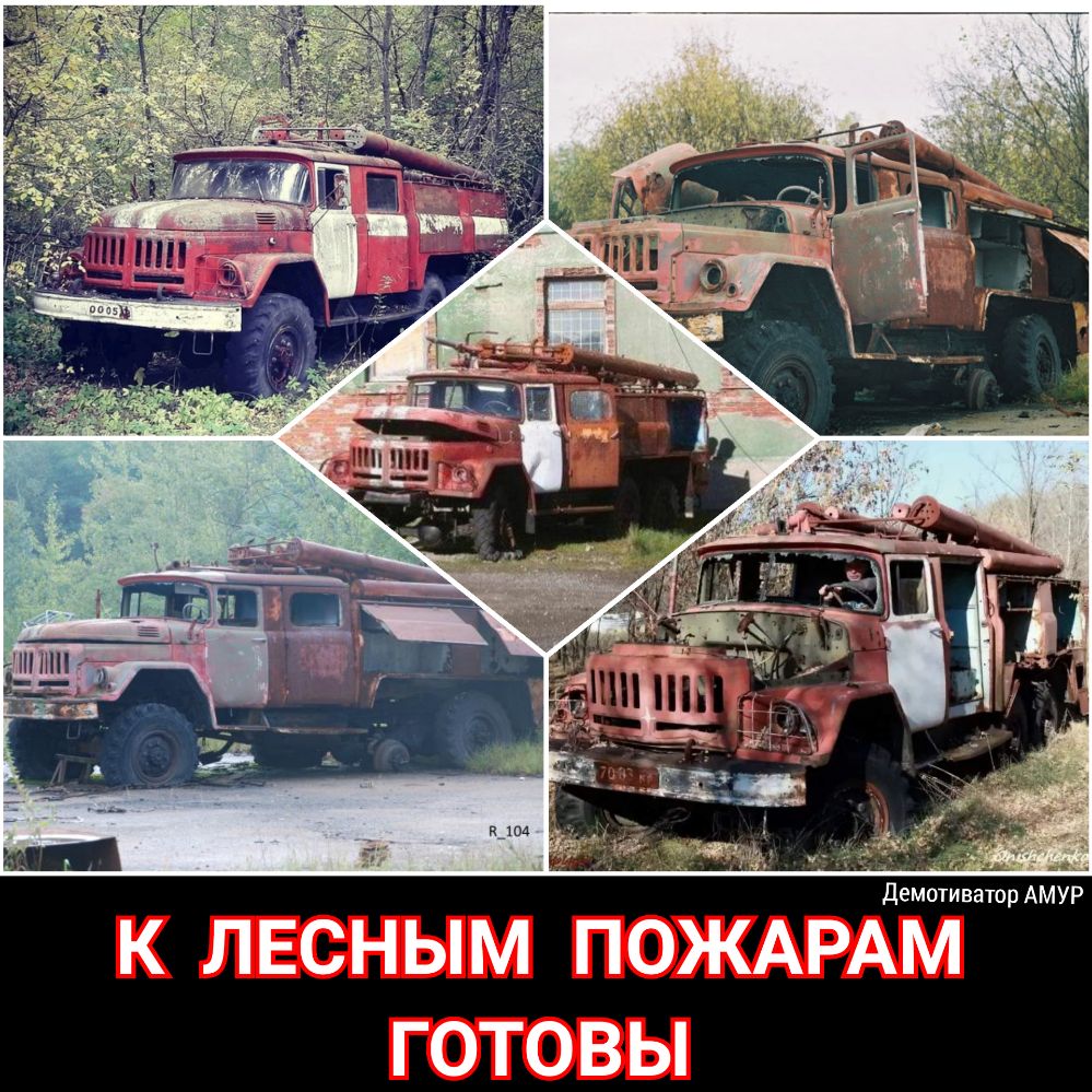 Демотиватор АМУР К ЛЕСНЫМ ПОЖАРАМ ГОТОВЫ