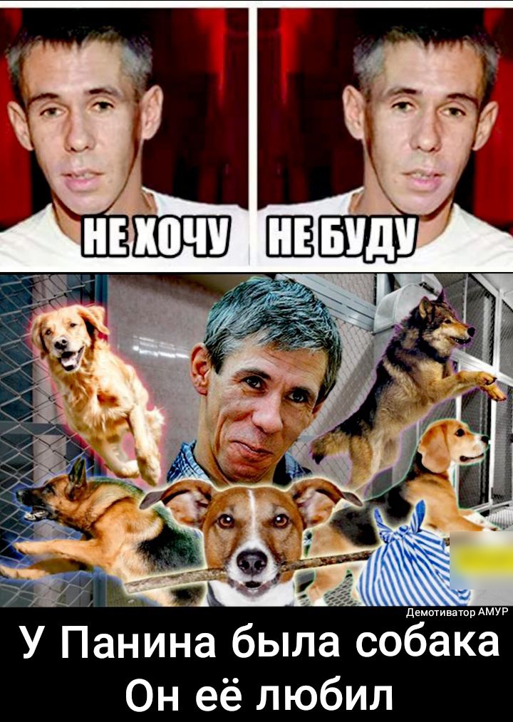 торАМУР У Панина была собака Он её любил
