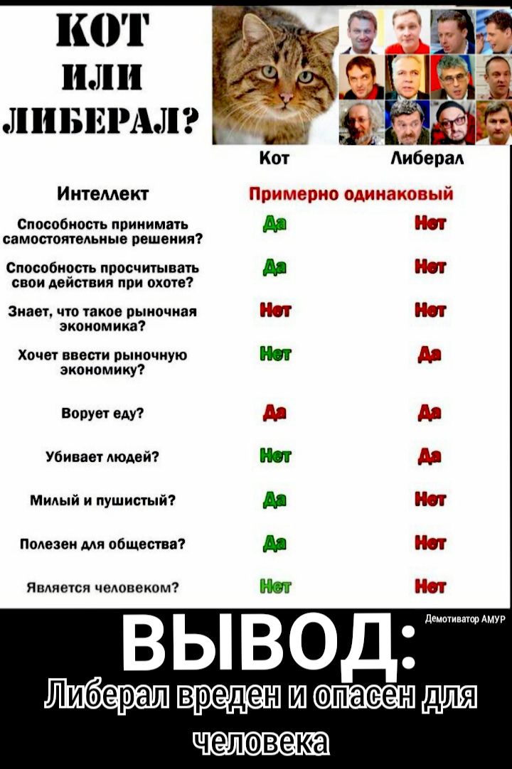 ШП или линии Интемект Способность принимать самостоятельные решения Способность просчитывать 933 свои действия при охоте Знает что такое рыночная 313 531 экономика Хочет ввести рыночную ДЭ экономику Ворувт еду 533 33 Убивает людей Д Милый и пушистый КЭ Полезен мя общество Кэт Является человеком С 3 33