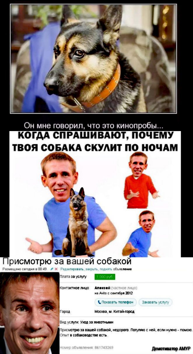 когдА спишивдют поч ЕМУ твоя СОБАКА скудит пщіОЧАм і рисмотрю за вашей собакои у _ квт мю Мини ма шп Пс шт в км и гп ими и Китай юри Видиммщитюш Помнит и идей шшд пту ней ним у пшена пп кппдшсм дашприл