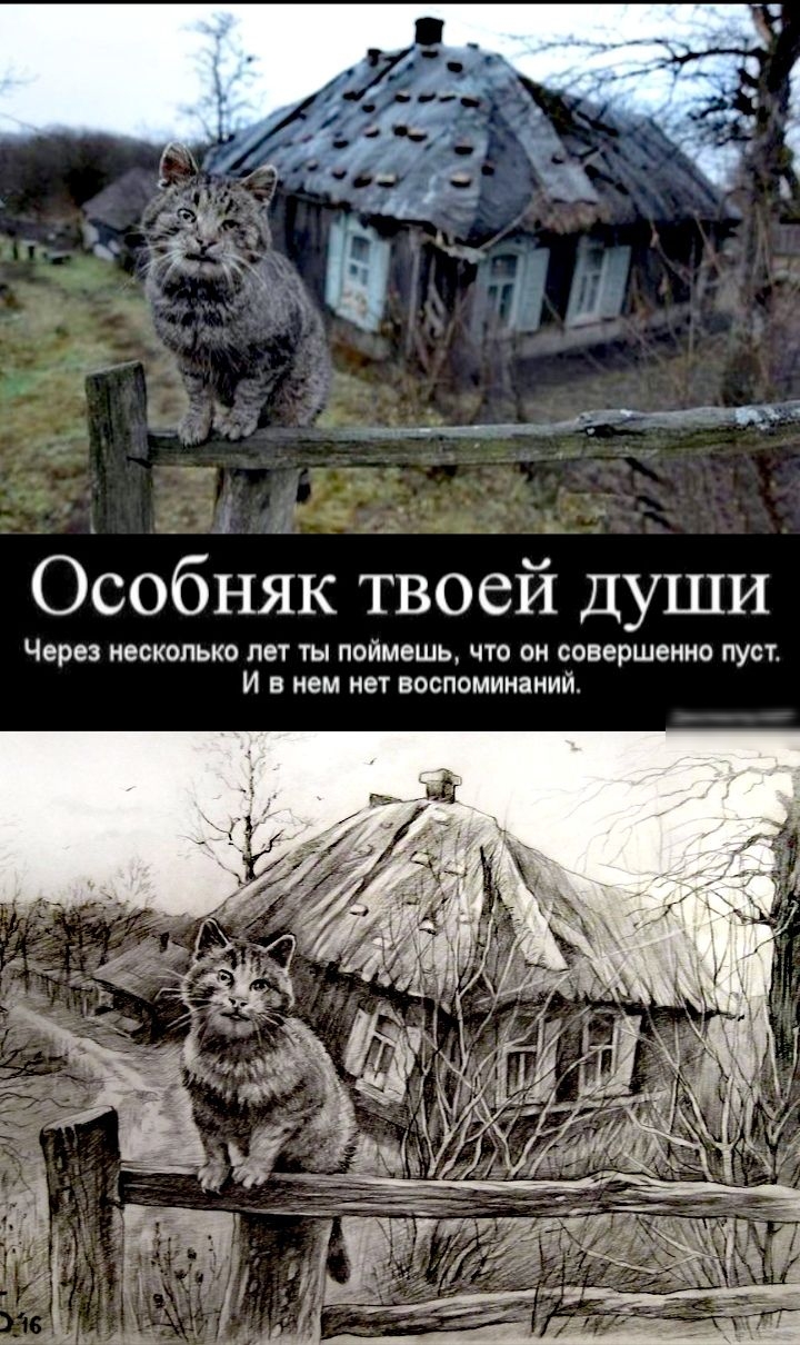 Особняк твоеи души Через несколько лет ты поймешь что он совершенно пуст И в нем нет воспоминаний