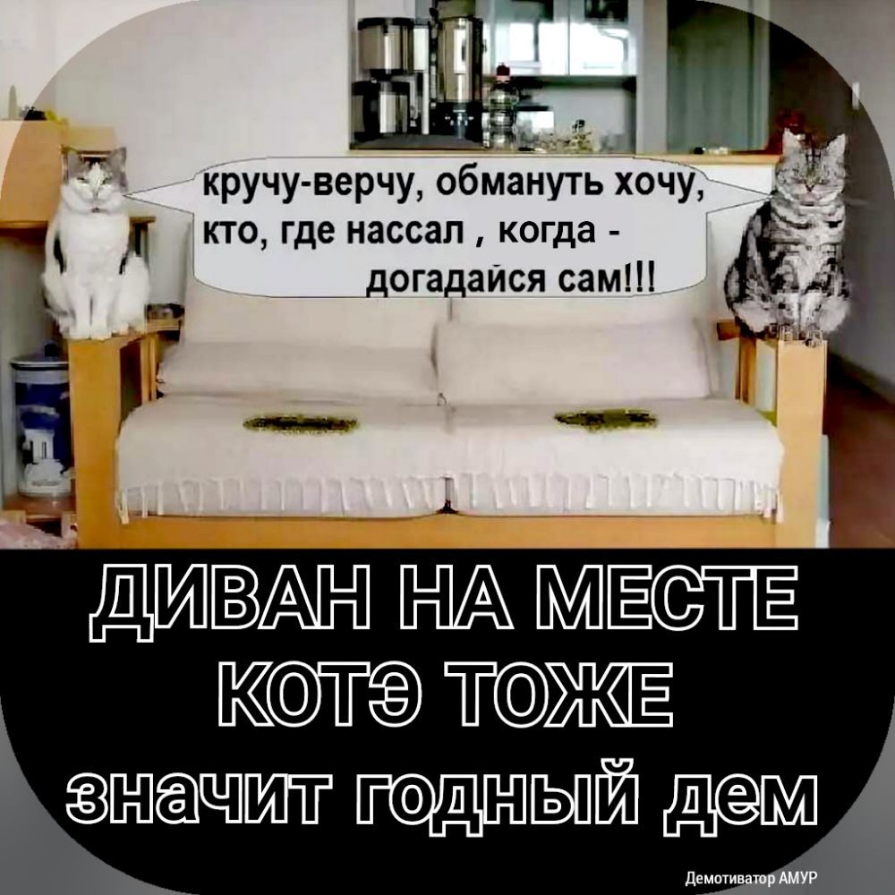 А кто где нассал когда догадайся сам Кот апдгаъпшт ГОАНЫЙ