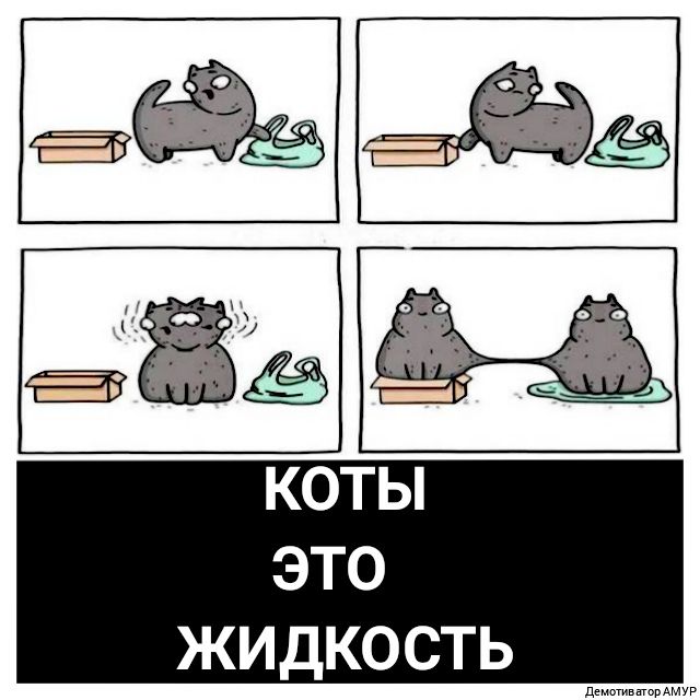 КОТЫ ЖИДКОСТЬ