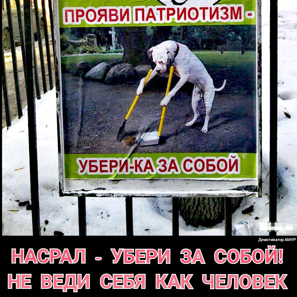 ЗА ФБОЙЕ НЕ ВЕдИ РКАК ЧЕЛОВЕК