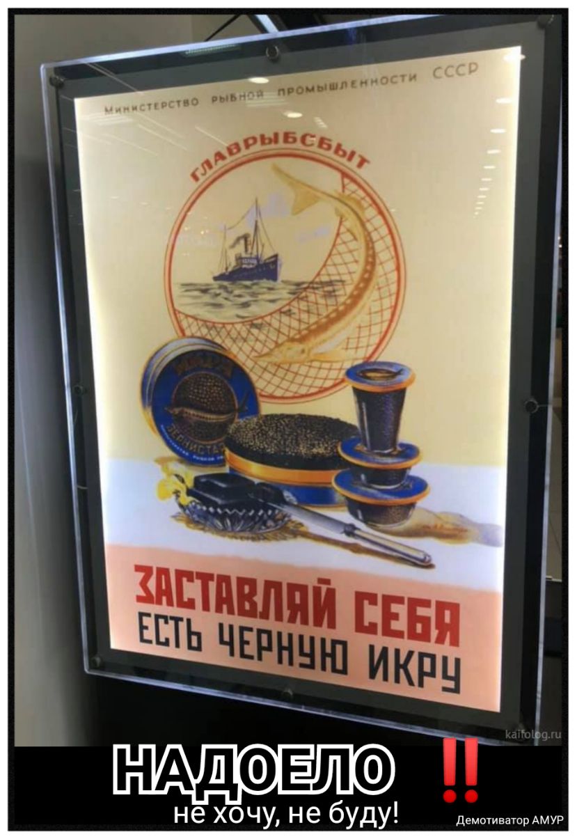 нддовло не хочу не буду