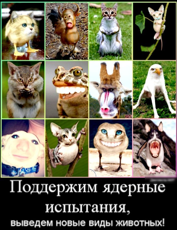ИСПЫТЕіНИЯ выведем новые виды животных