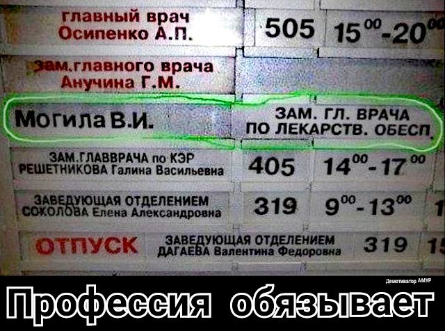 _ главный врач Осипенко АП 505 15 глаимого врача _АНГШШ гм__ _ гипа в_и_ ЗАМ ГЛ ВРАЧА _ __ ПО ЛЕКАРСТВ ОБЕСП _____ _ БШ гмвв АЧА кз Р 00 г ИИКОВА Галииапгасипьша 405 1 4 17 шдгаъ 319 9 1з3 СГ эдв ующдяотдвлеииш 319 137 вил витка м