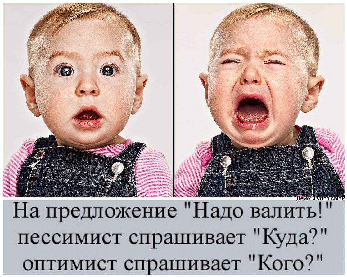 На предложение Надо валить пессимист спрашивает Куда оптимист спрашивает Кого