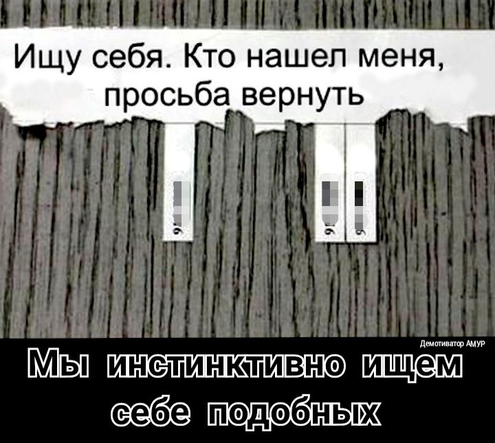 Ищу себя Кто нашел меня просьба вернуть ШШШ ИЁЁШЕЪЮ