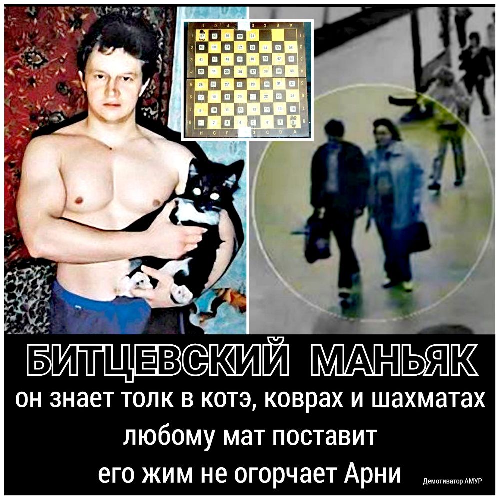 и _ БИТЦЁВШЙ ьяп он знает толк в котэ коврах и шахматах любому мат поставит его жим не огорчает Арни