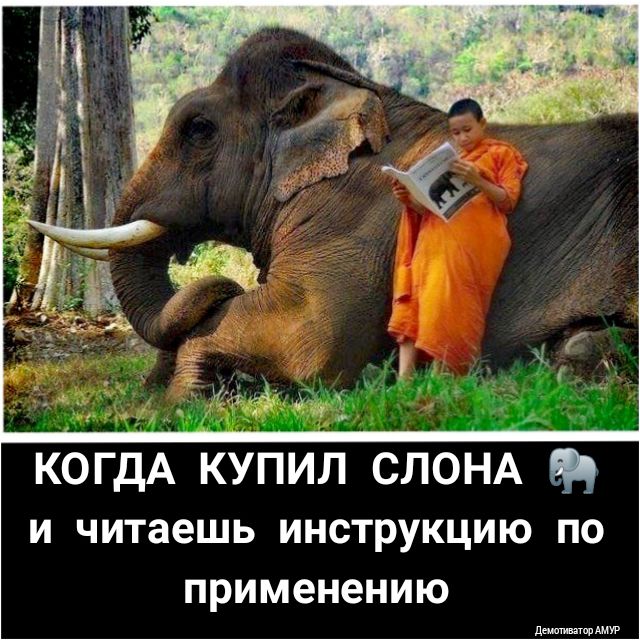 КОГДА КУПИЛ СЛОНА и читаешь инструкцию по применению