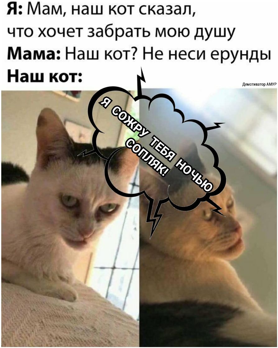 Я Мам наш кот сказал что хочет забрать мою душу Мама Наш кот Не неси ерунды