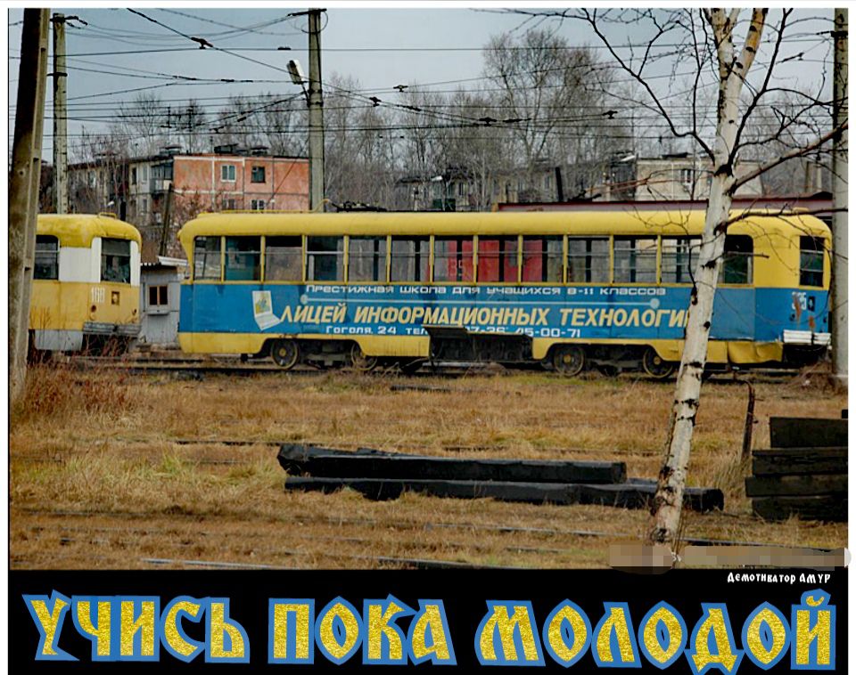 ммтиищ дмг СШ