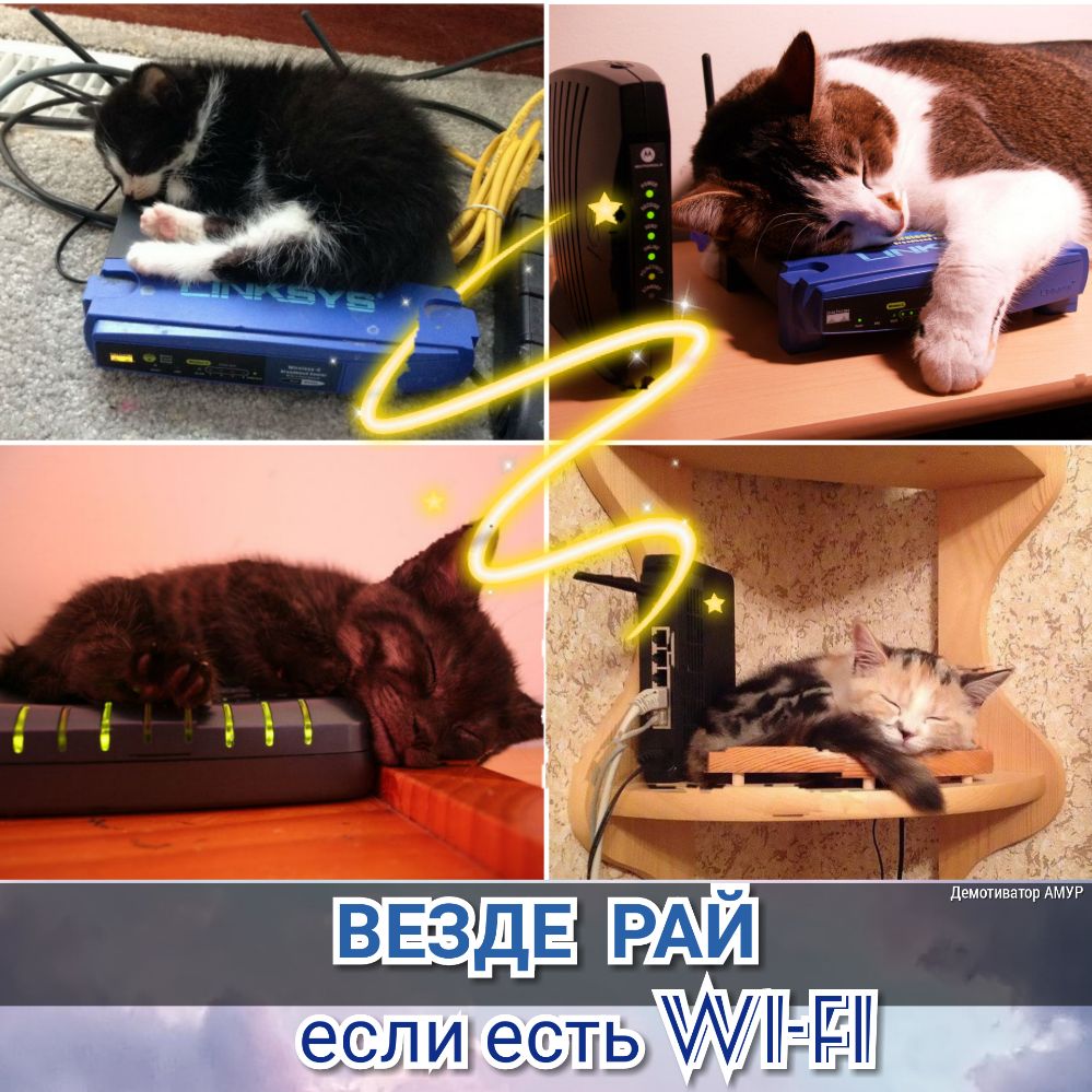 К _ _ Двмшиваюр АМУР