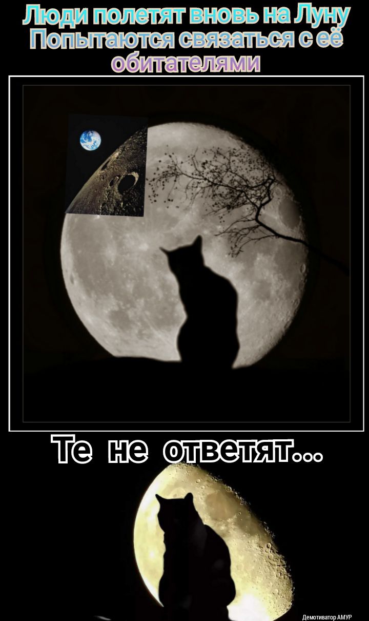 иодипоппятнювьш Попытенями