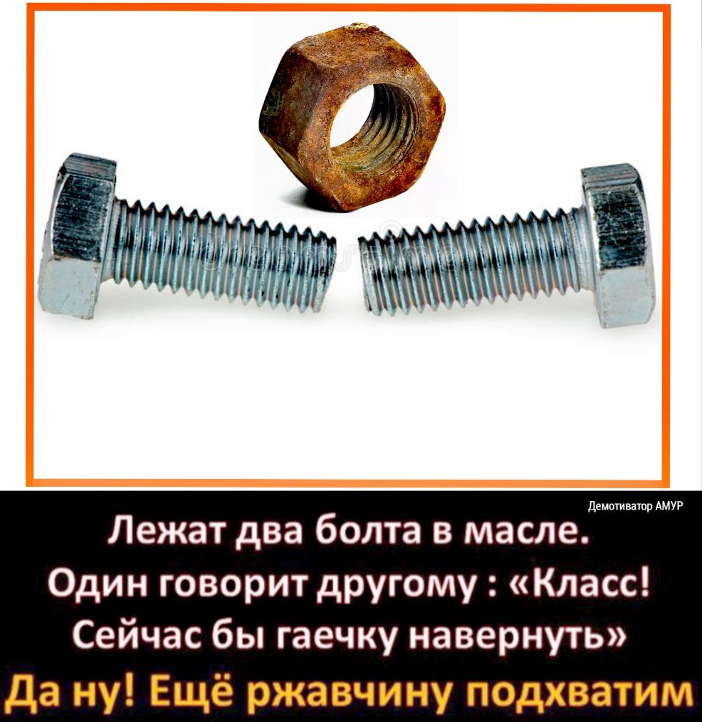 Демптиватпр АМУР Лежат два болта в масле Один говорит другому Класс Сейчас бы гаечку навернуть да ну Ещё ржавчину подхватим
