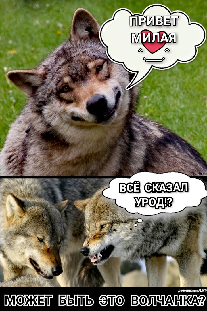 Ф Ц ЬЭТОВ ВФЛЧАНКА