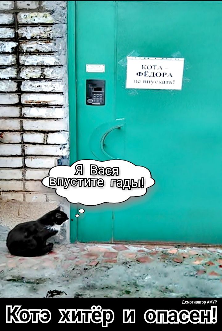 тг Ч П На монитор АМУР ш